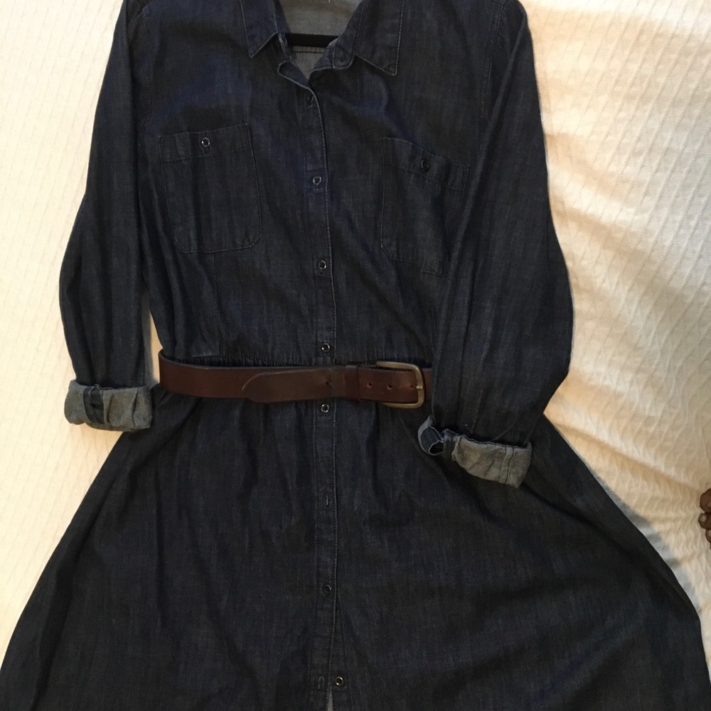 GAP 1969 Denim Dress